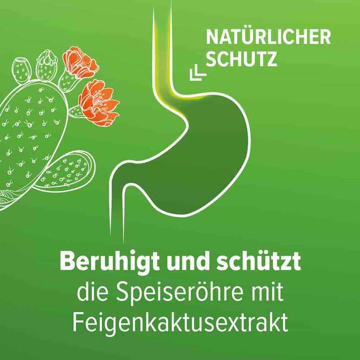 Refluthin bei Sodbrennen Kautabletten Frucht, 16 St