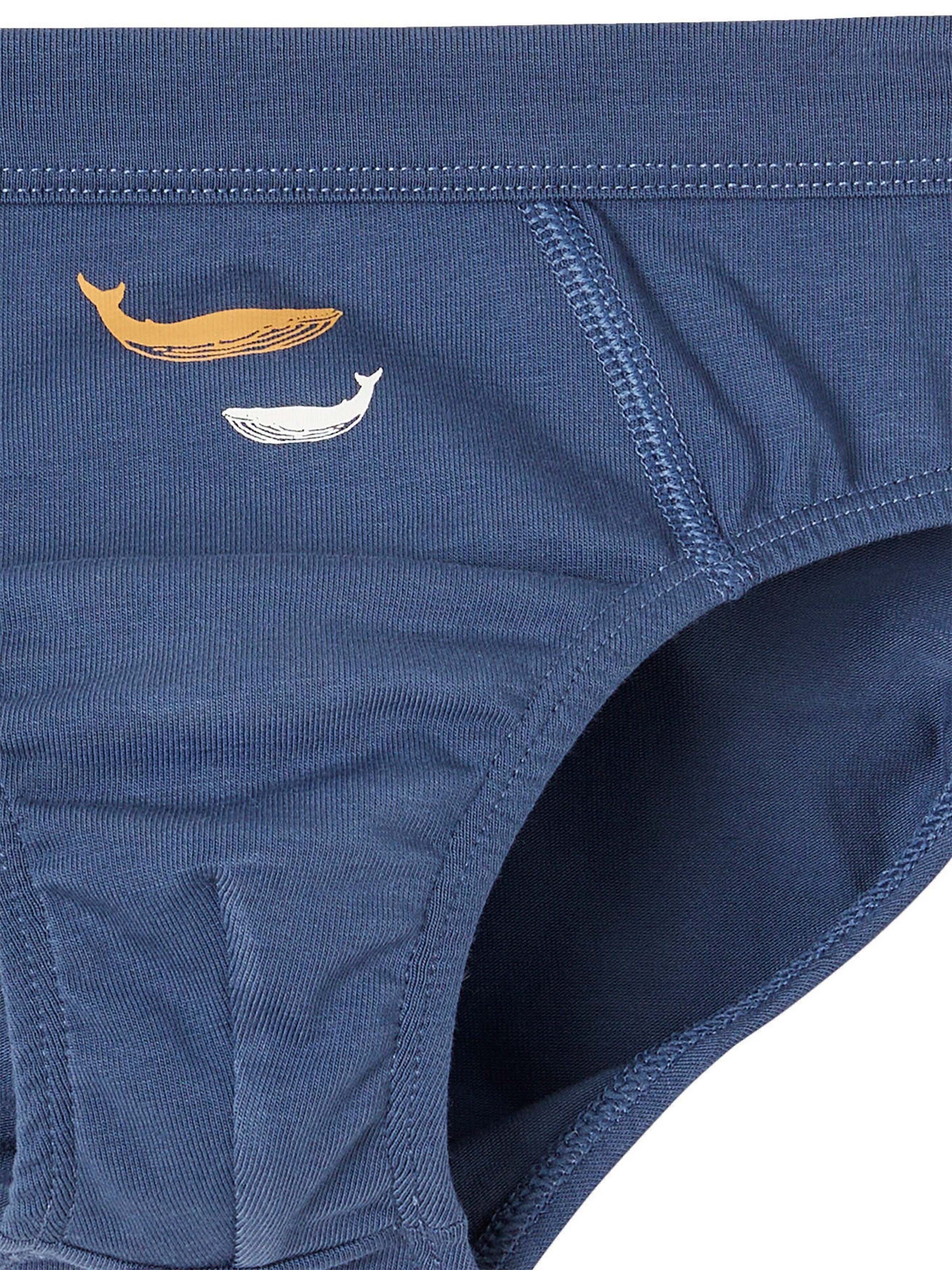 Vertbaudet 7er-Pack Jungen Slips mit Bio-Baumwolle, Wale himmelblau
