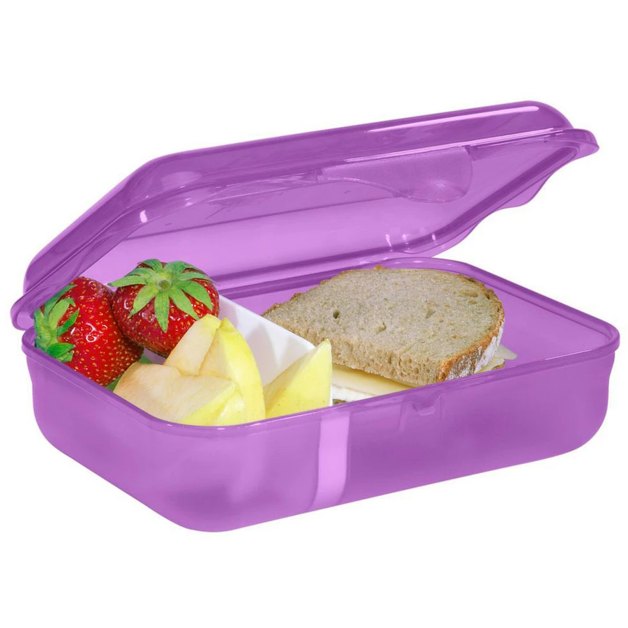 Step by Zubehör Lunchbox 17.5 cm - Brotzeitbox Dreamy Pegasus
