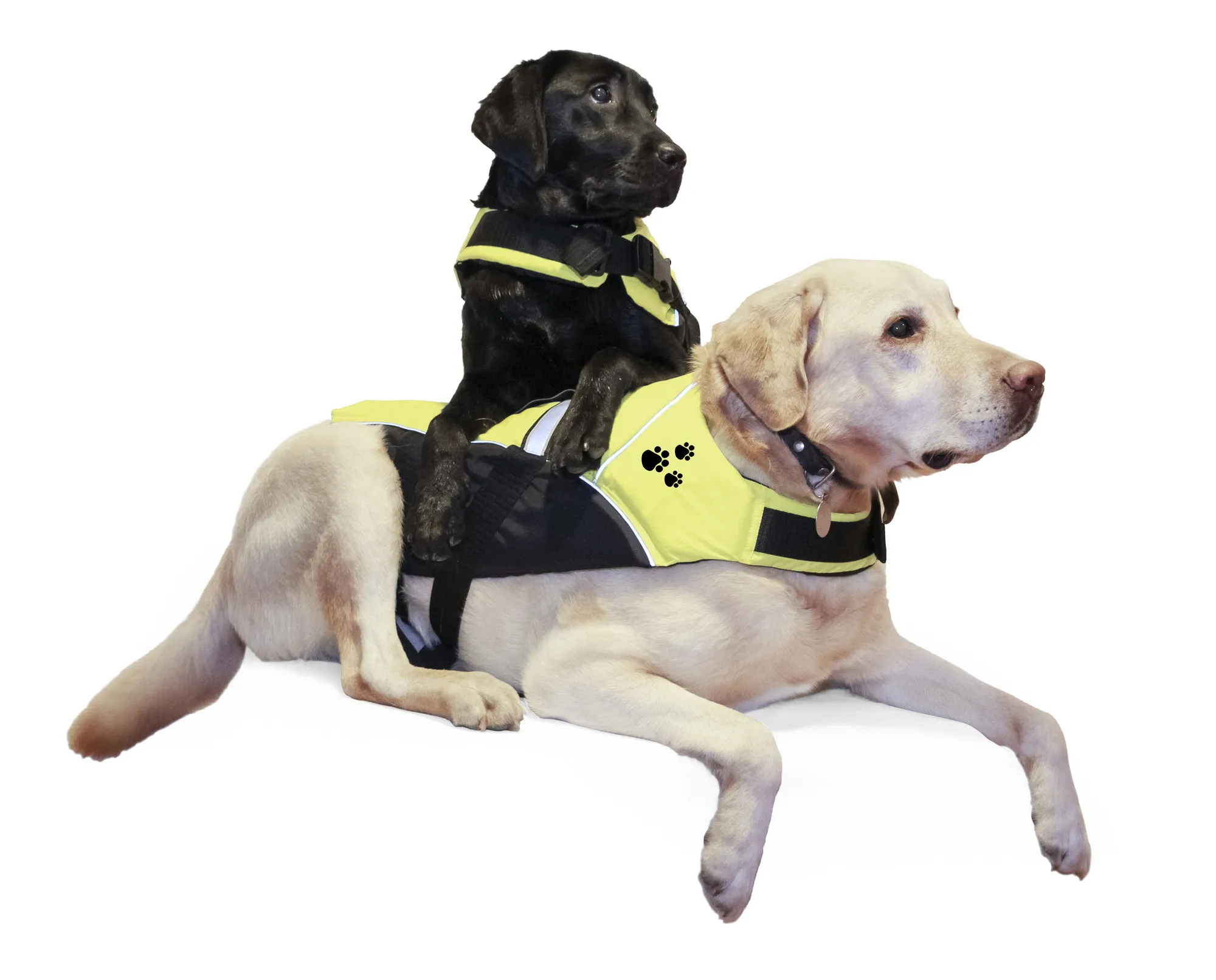 Regatta Pet flytevest Sort/fl.Gul