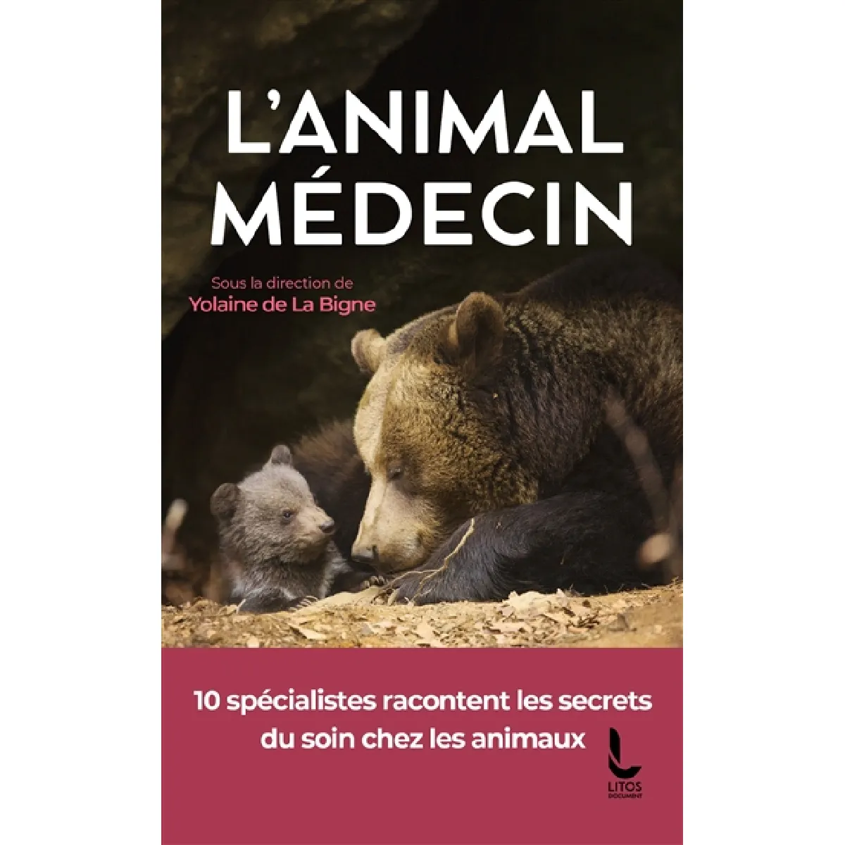 L'animal médecin : 10 spécialistes racontent les secrets du soin chez les animaux · Occasion