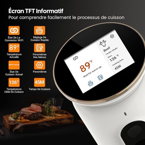 INKBIRD WiFi Thermoplongeur Sous Vide ISV 101W, Cuisson Basse Température 1000W: Écran TFT, Cuisson De Réservation App, Protection Du Niveau D'eau, Avertissement De Température, 0℃~95℃, Réglable 0,1℃ : Cuisine et Maison