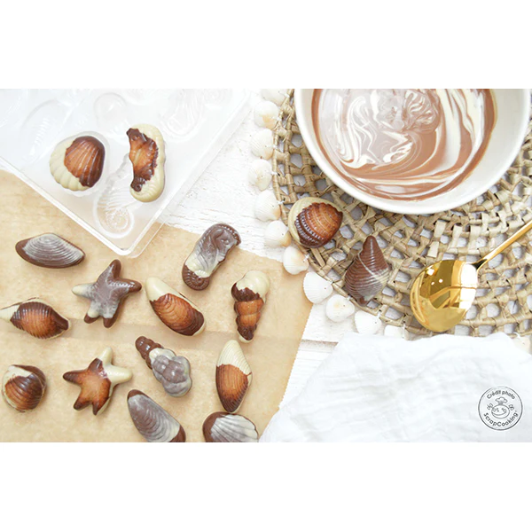 Moule rigide pour chocolats Friture de pâques Scrapcooking