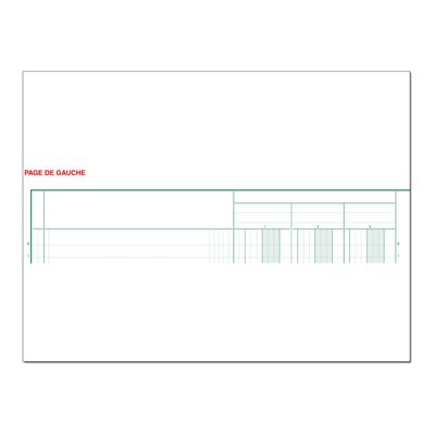 Exacompta - Piqûre comptable - 10 colonnes sur 2 pages - 32 x 25 cm - 80 pages