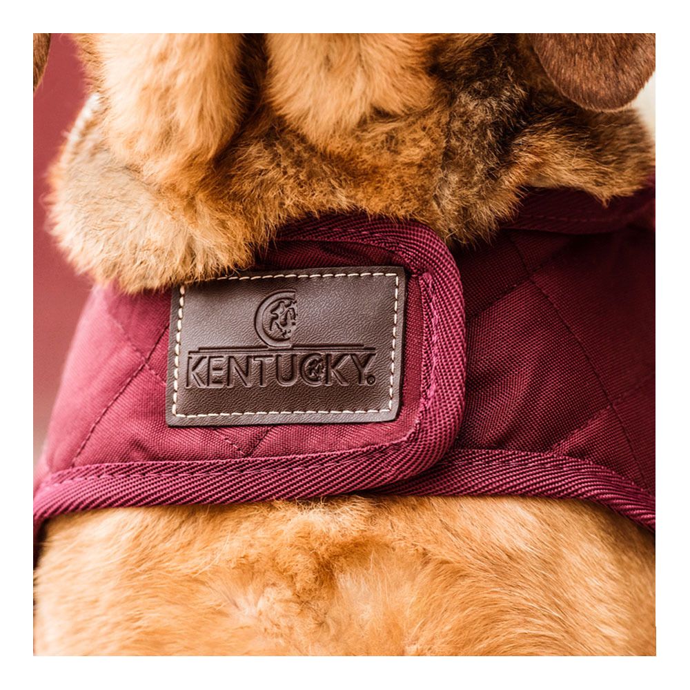 Kentucky ORIGINAL 160G - Couverture pour chien bordeaux