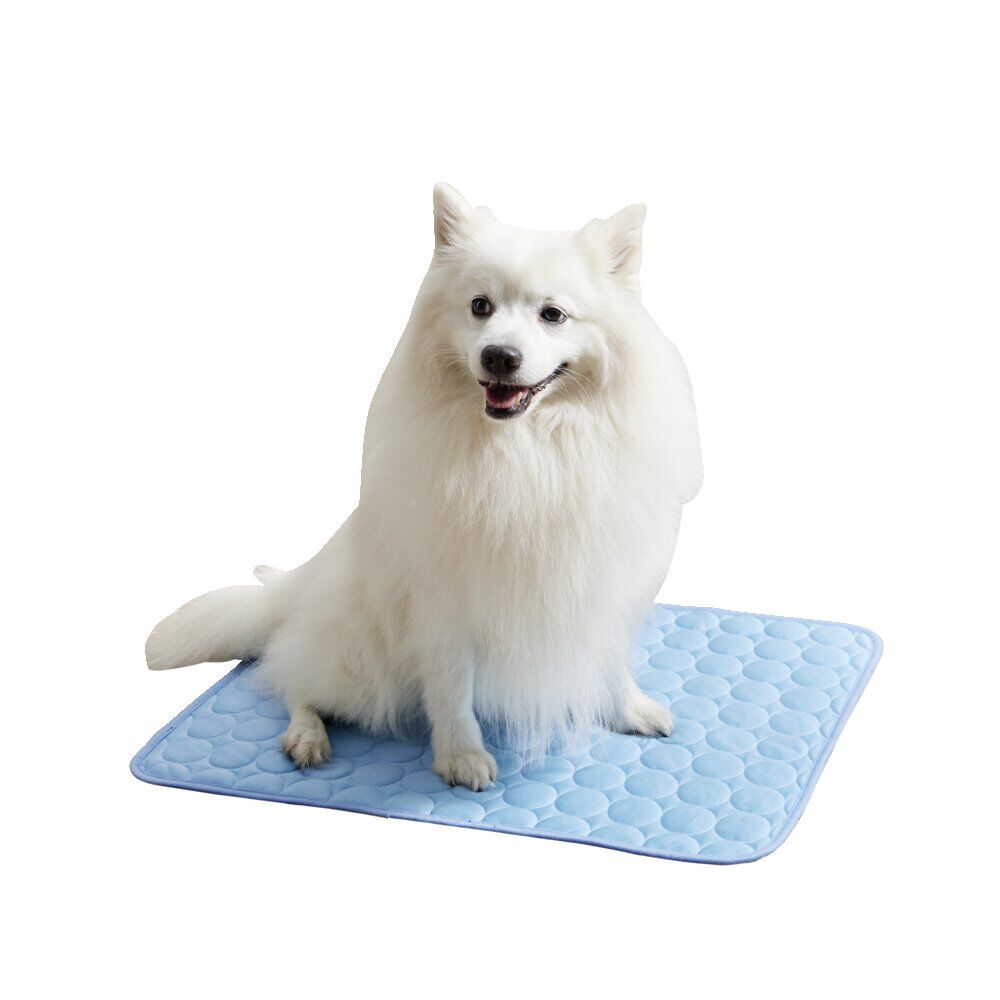 Tapis rafraîchissant pour chien 45x60cm