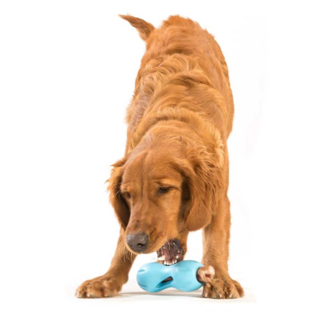 Jouet de puzzle pour chiens qwizl taille l bleu 3540