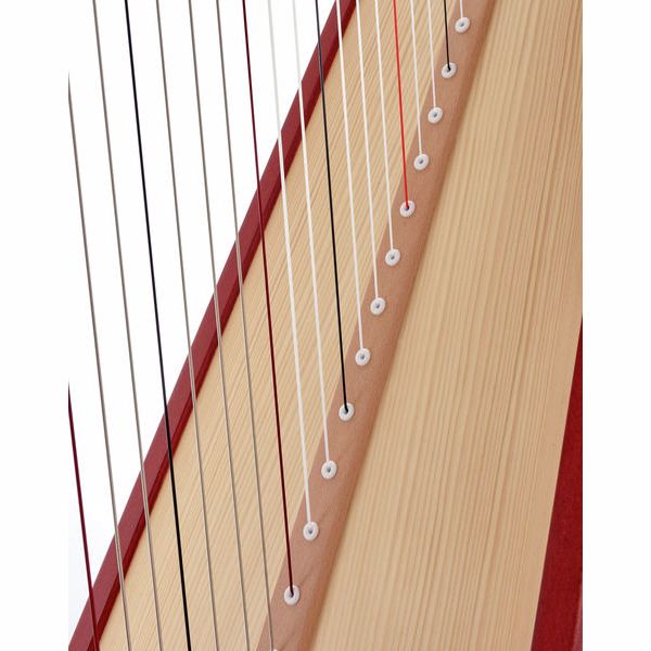 Salvi SALHER-MSS Hermes Mahogany
