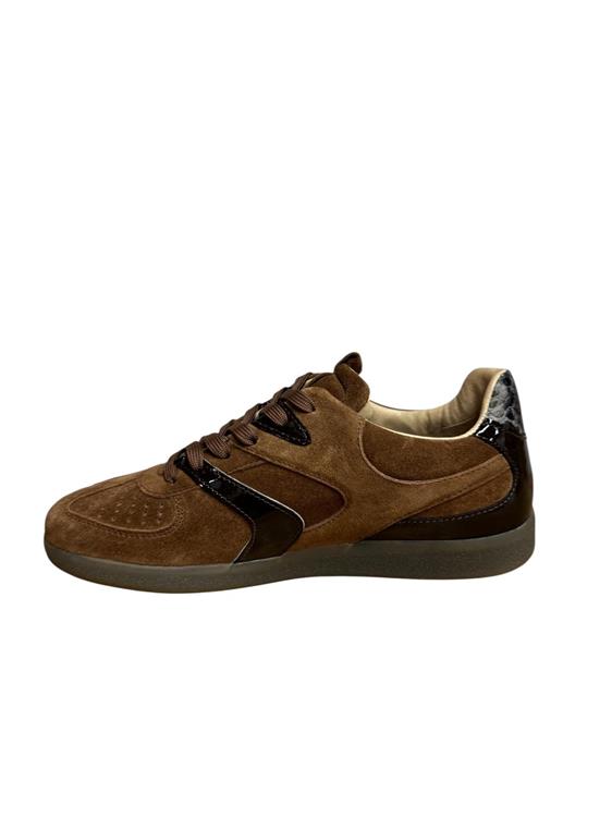 Via Vai 62353 Nilla Macy 01-1084 Nocciola