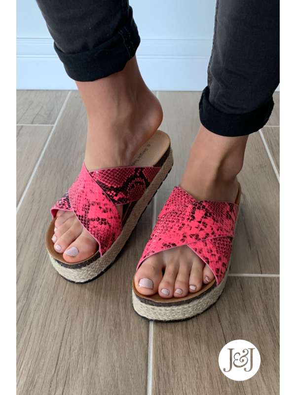 Nu-pieds Fushia 'Zoa'