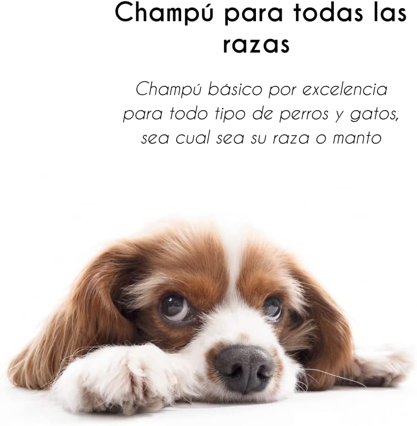 Kit Petuxe com shampoo, máscara e condicionador para animais de estimação.
