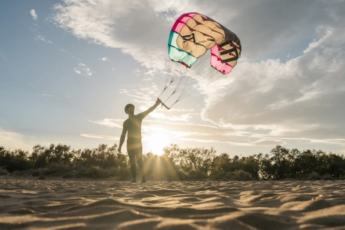 ENSIS ParaWing ROGER 3.0 Downwind