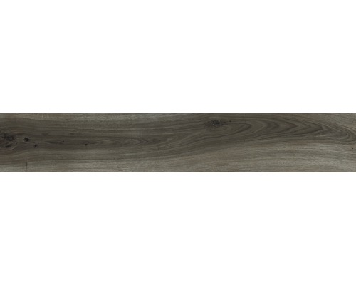 Porseleinen wand- en vloertegel Oliver Pepe 20 x 120 cm