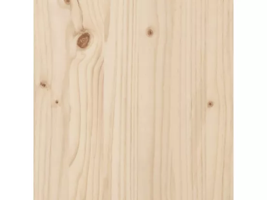 Aire de jeux d'extérieur bois de pin massif