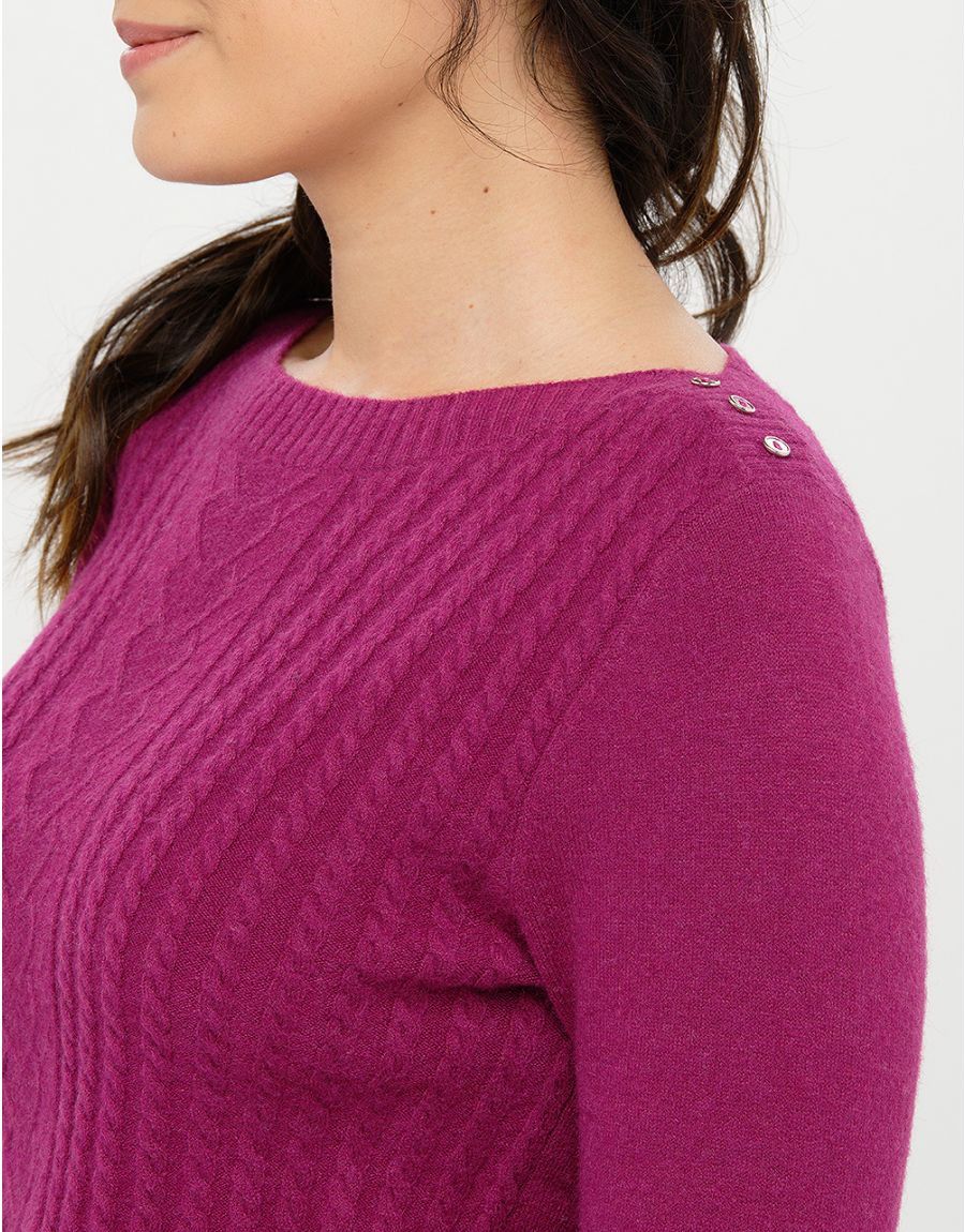 Pull col bateau prune
