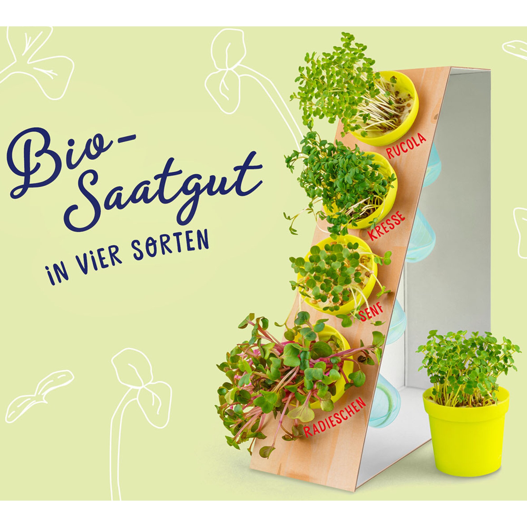 Kosmos Experimentierkasten Microgreen-Garten