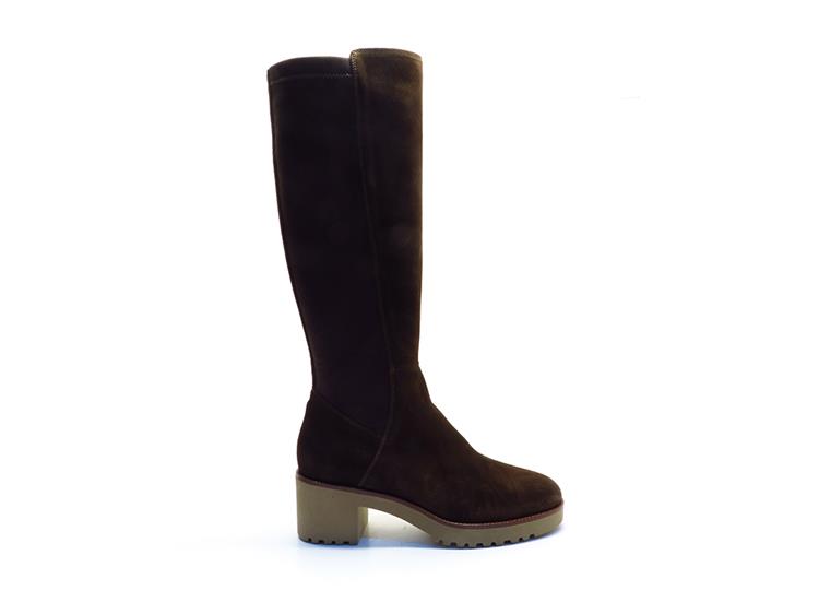DL Sport 6850 velour cacao