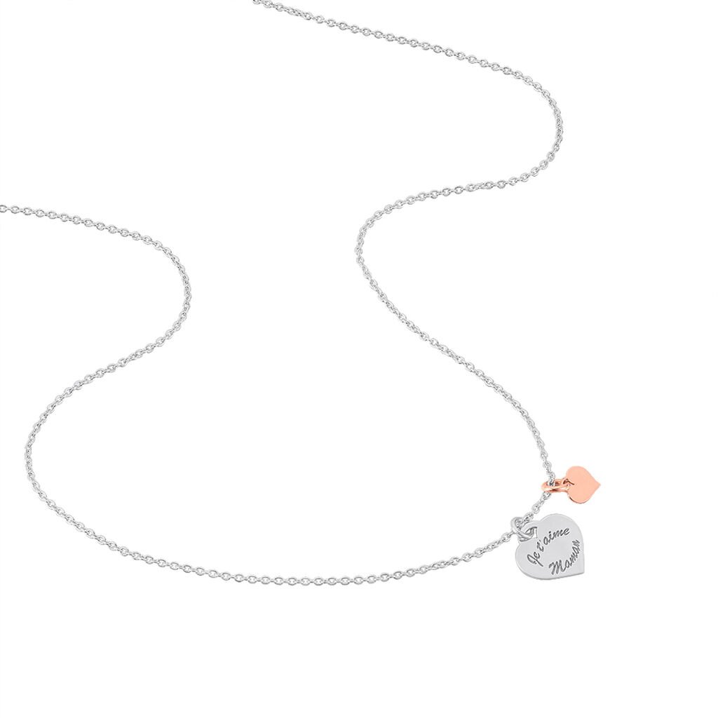 Collier Nathalie Argent Bicolore