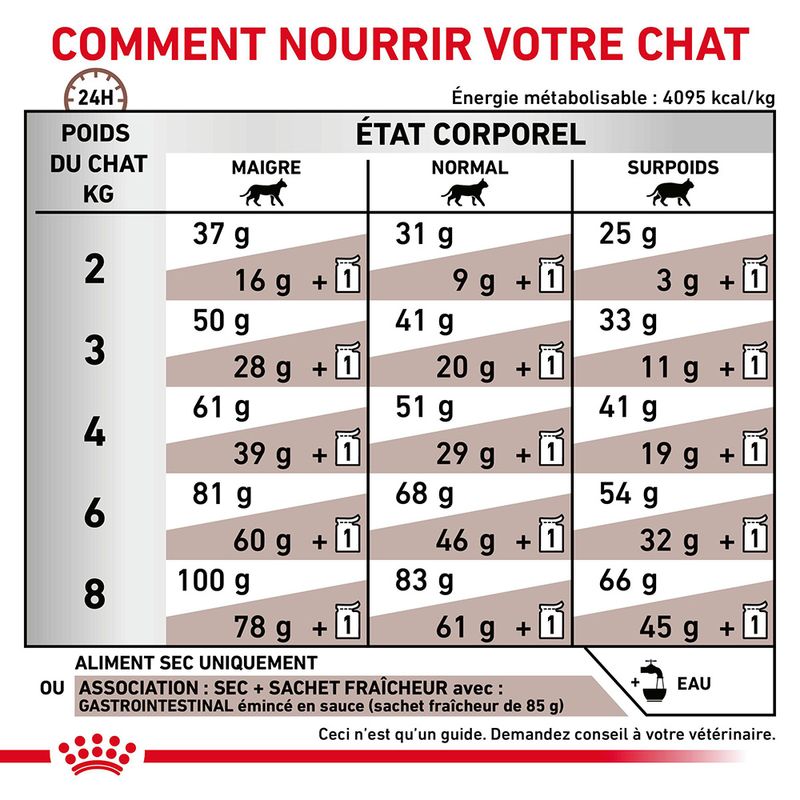 Royal Canin Veterinary - Gastro Intestinal sur bitiba.fr