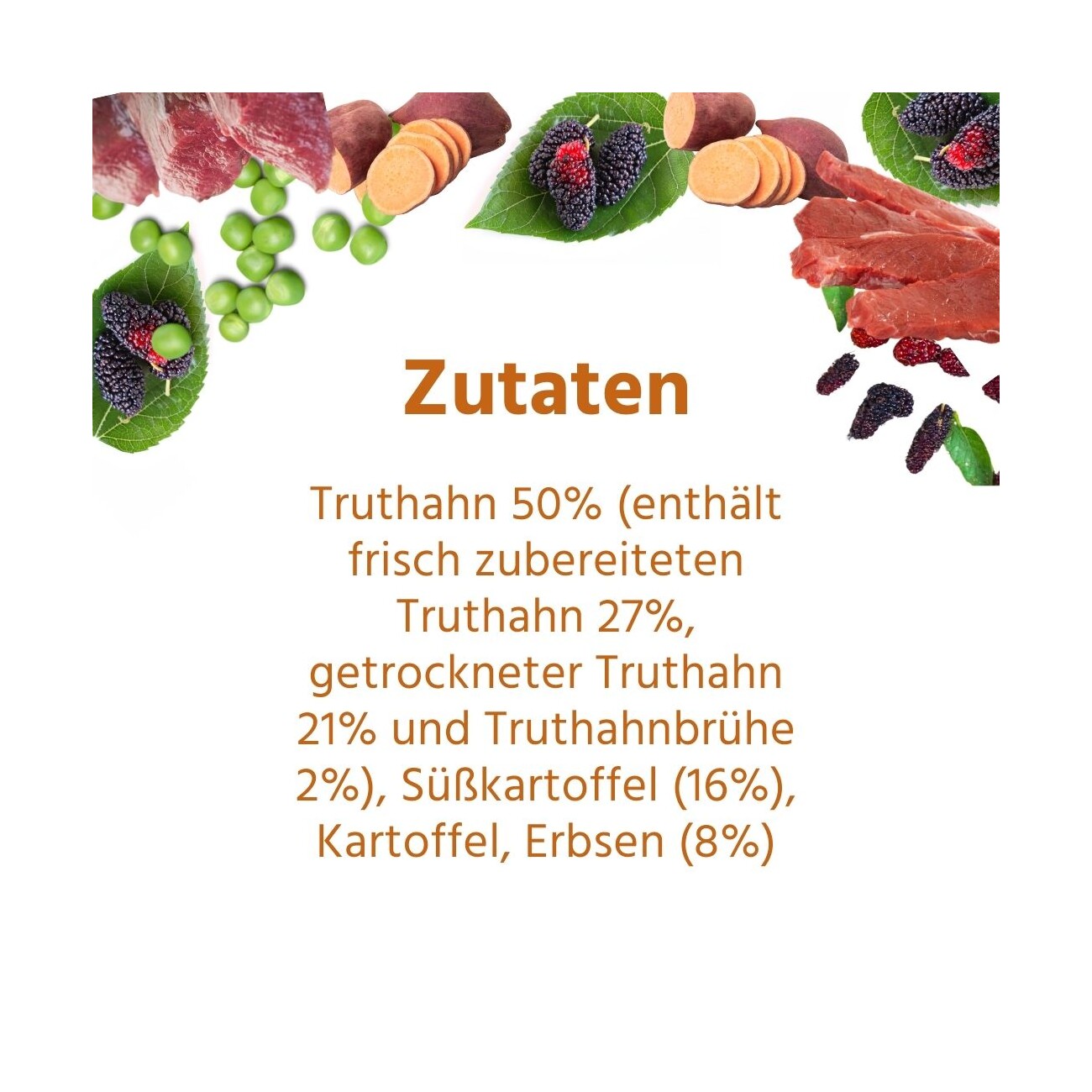 Wildfang ® Senior Trockenfutter mit Truthahn 2 kg