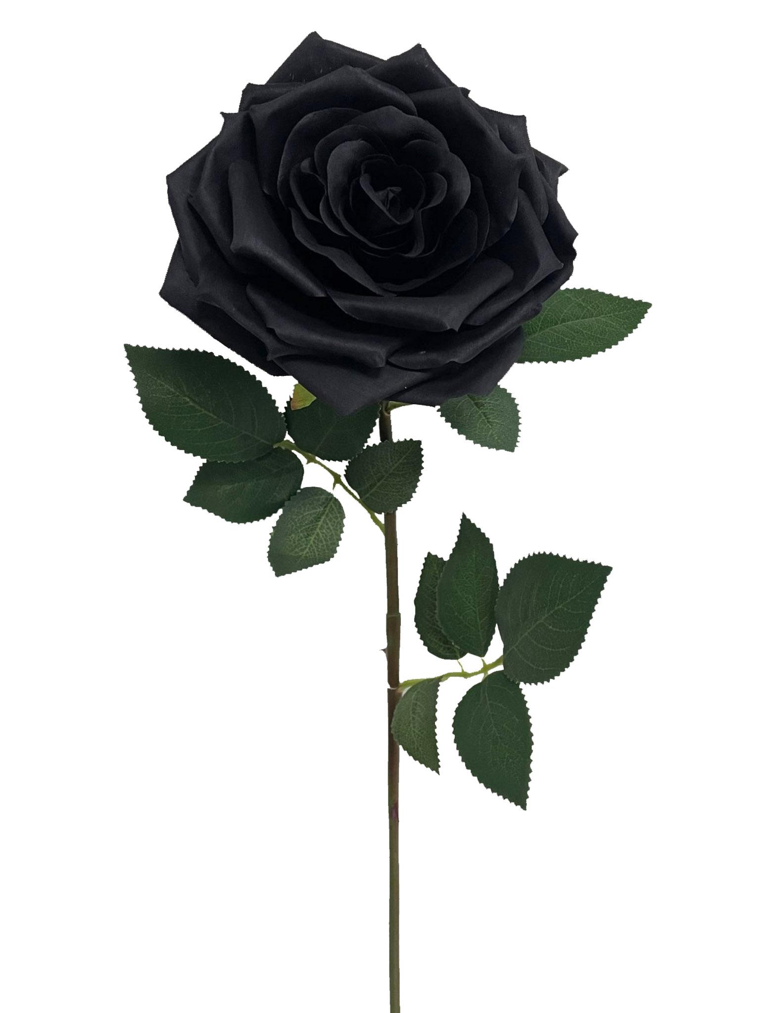 TIGE ROSE H.72CM NOIR