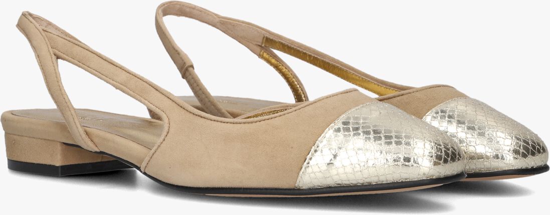 TORAL camel toral  luisa