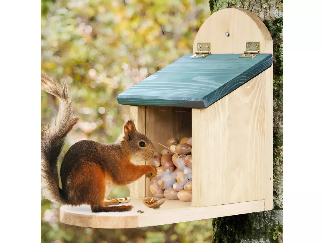 Mangeoire Écureuil Distributeur de nourriture éxtérieur robuste en bois massif et vitre plexiglas de haute qualité