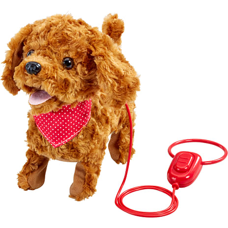 Happy Pets walk along - Cockapoodle