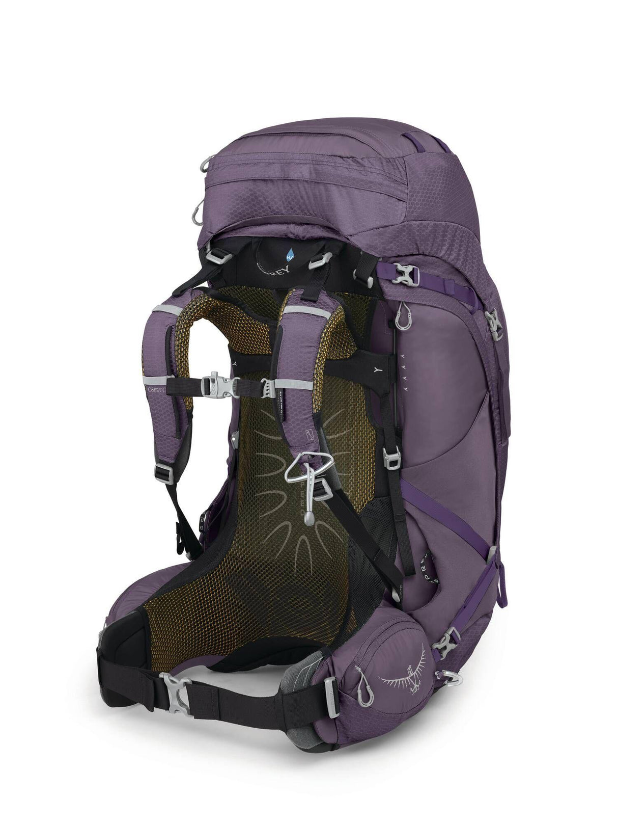 Osprey<br>Aura AG 65