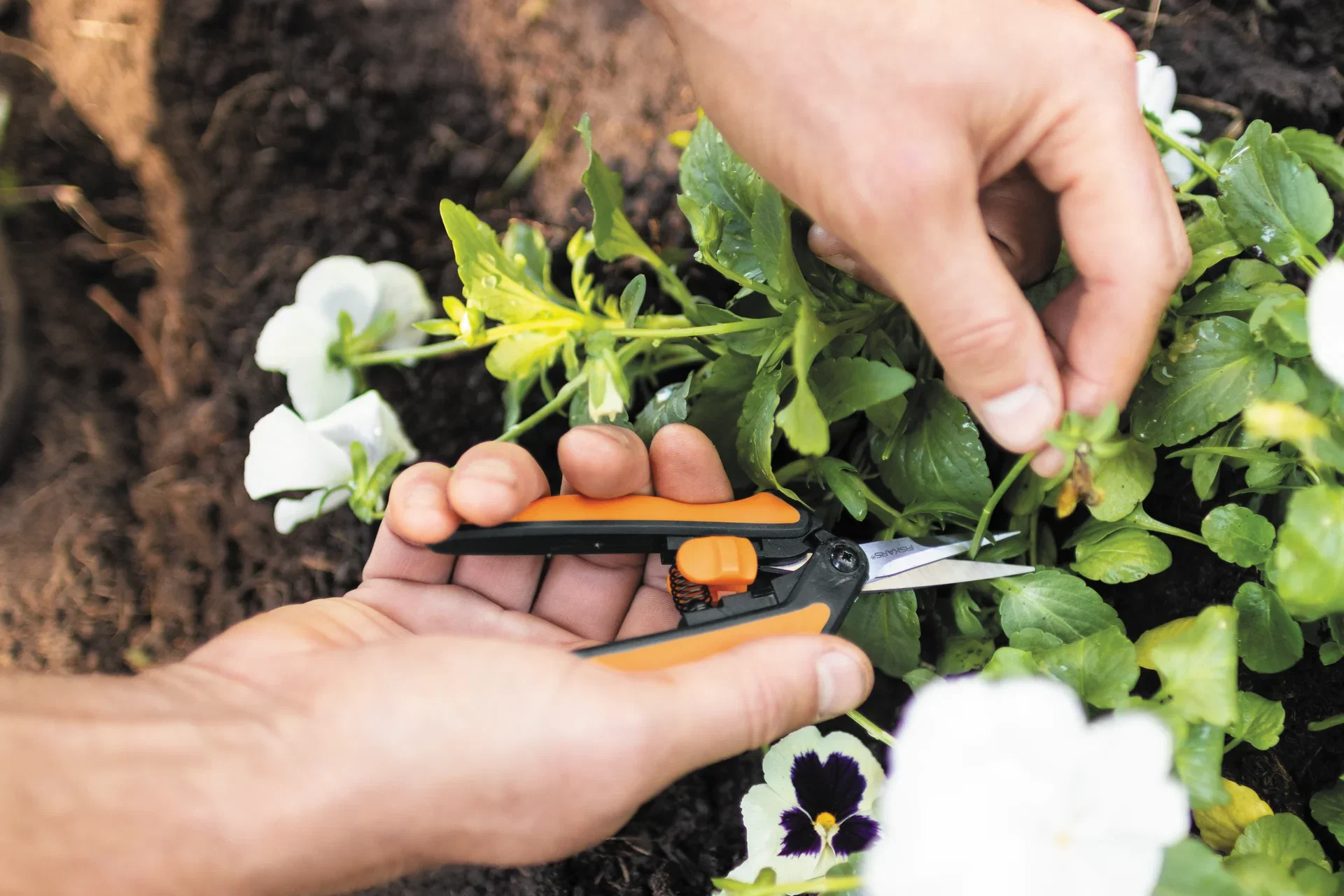Fiskars Urtesaks Solid SP13 Lengde 24 cm