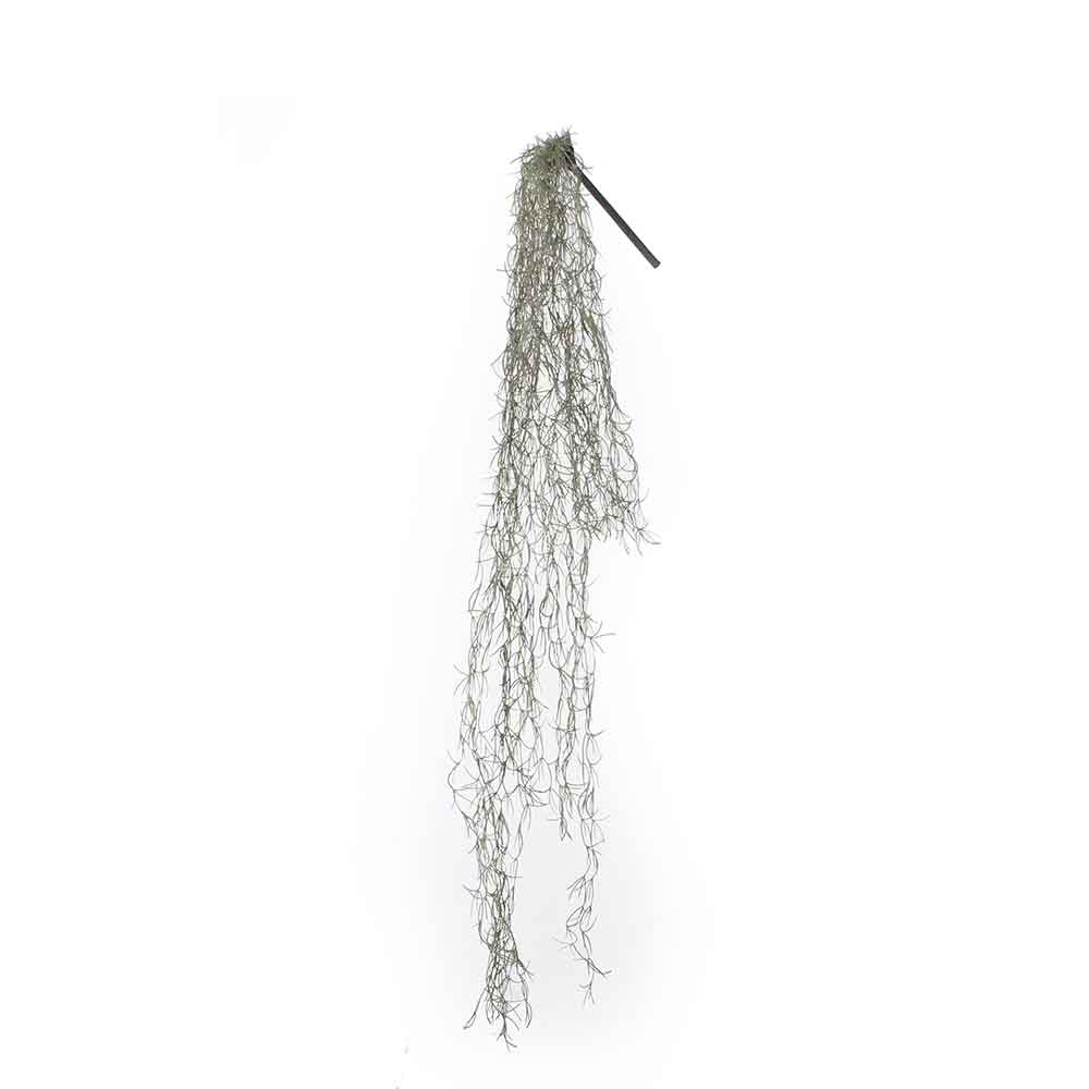 Mica decorations tillandsia hanging vert taille en cm: 115