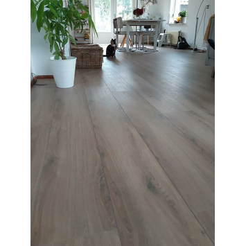 GAMMA laminaat Signature Extra Breed naturel geolied eiken