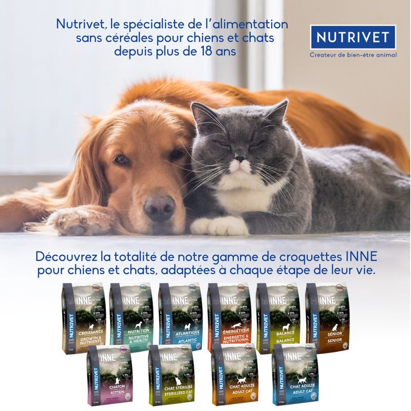 Huile de saumon, Nutrivet Inne