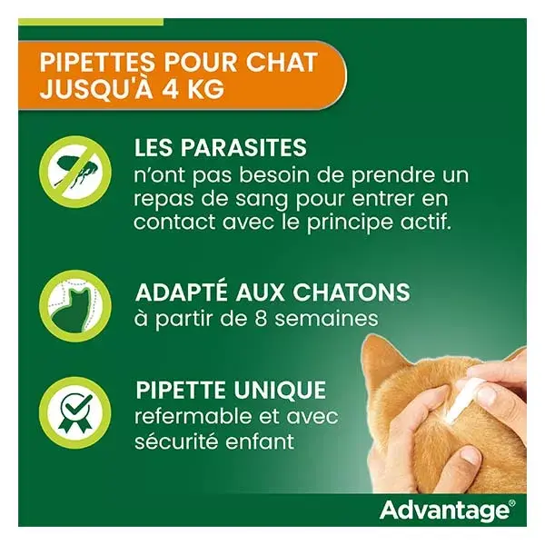 Advantage Solution Antipuce Chat Lapin 1 à 4kg 4 pipettes