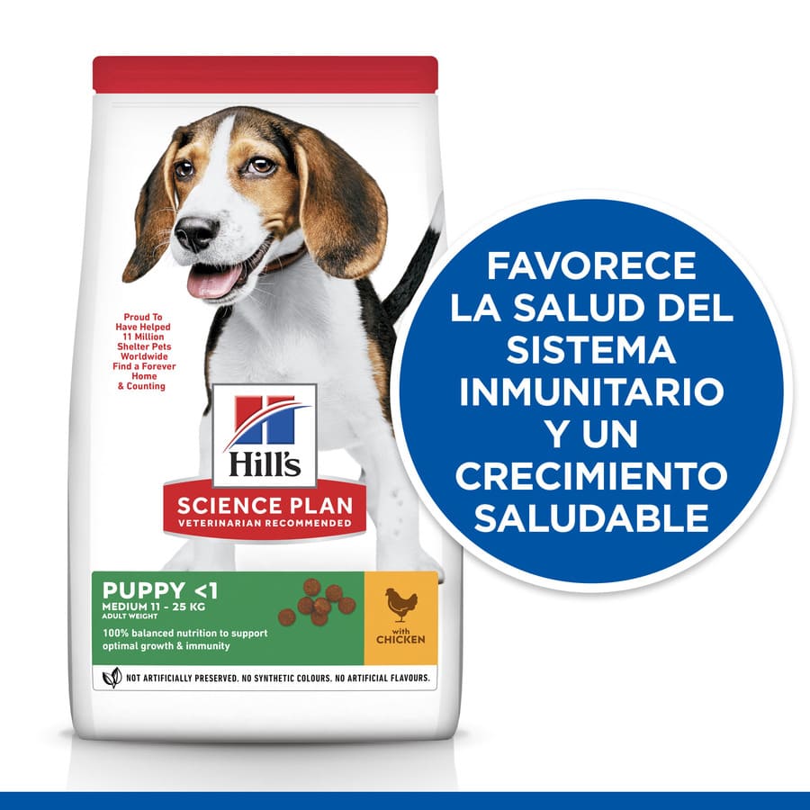 Hill's Science Plan Puppy Medium pollo pienso para perro