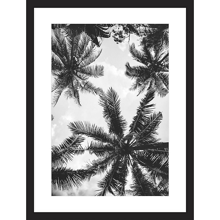 Image encadrée palmiers et ciel noir et blanc L.40 x l.30 cm cm Dada Art