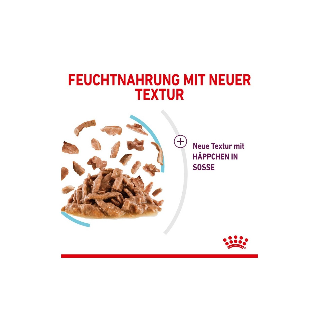 ROYAL CANIN Sensory Feel in Soße für wählerische Katzen 12x85 g
