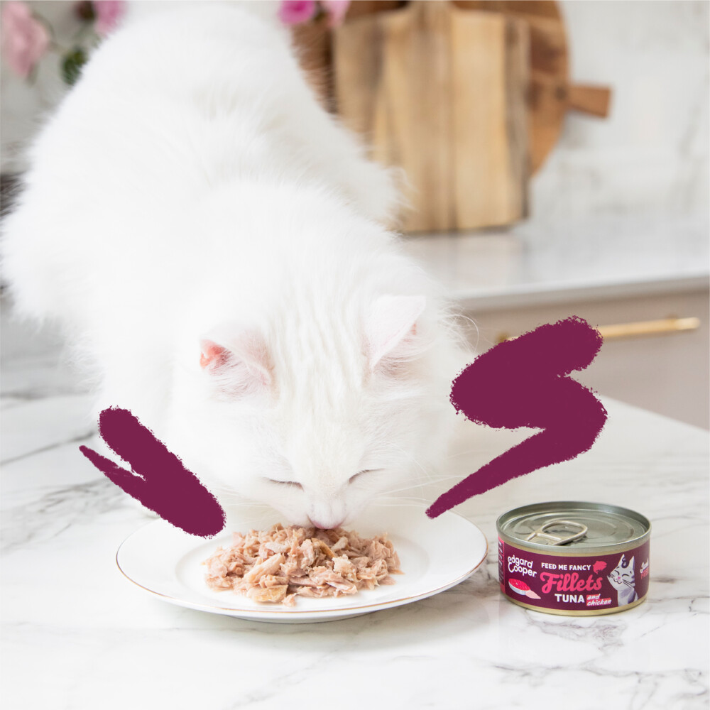 Edgard & Cooper Kattenvoer Fillets Tonijn - Kip70 gr