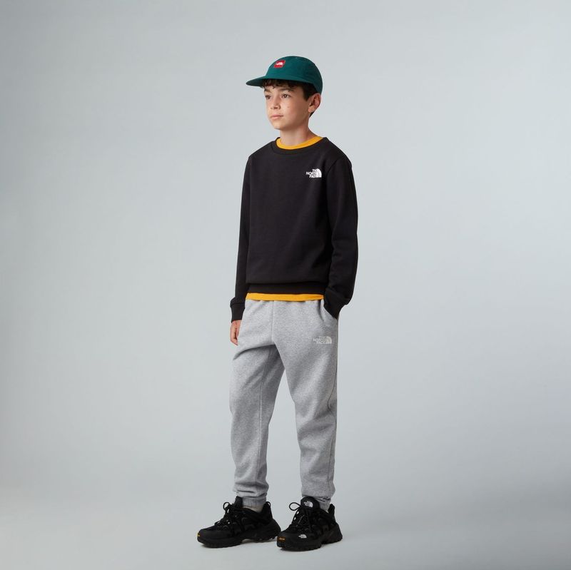 The North Face - Simple Dome Crew - Sweater - Junior