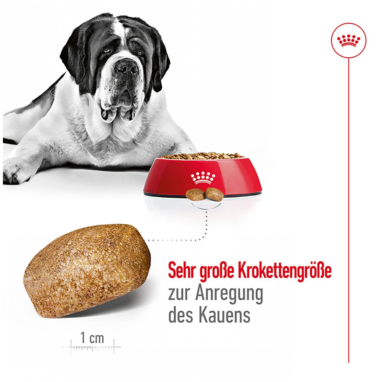 ROYAL CANIN Giant Adult 4 kg