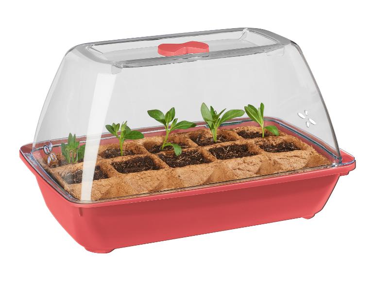 Mini-kas met biologisch zaad