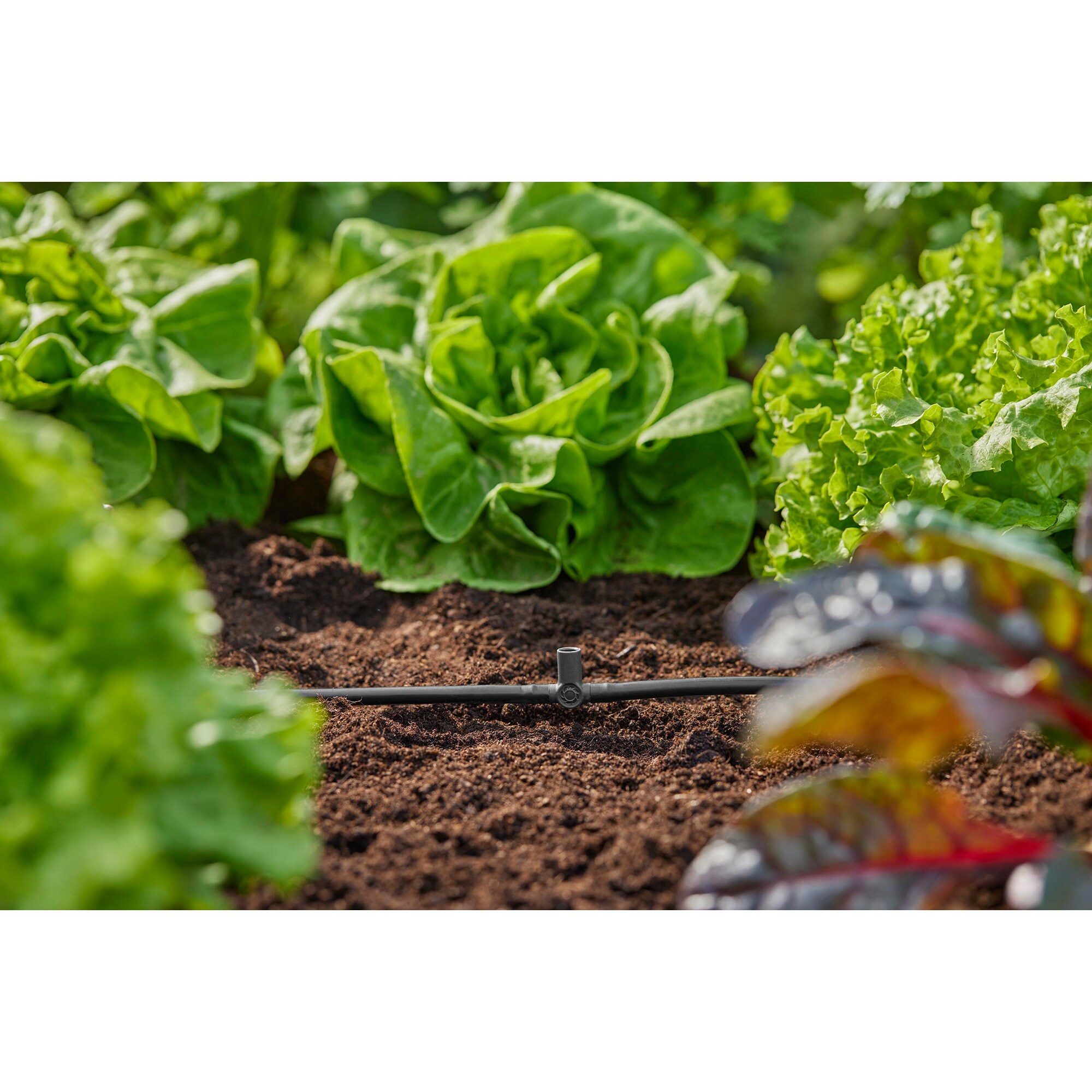 GARDENA Verbindung Micro-Drip-System T-Stück für Sprühdüsen/Endtropfer, 4,6mm (3/16