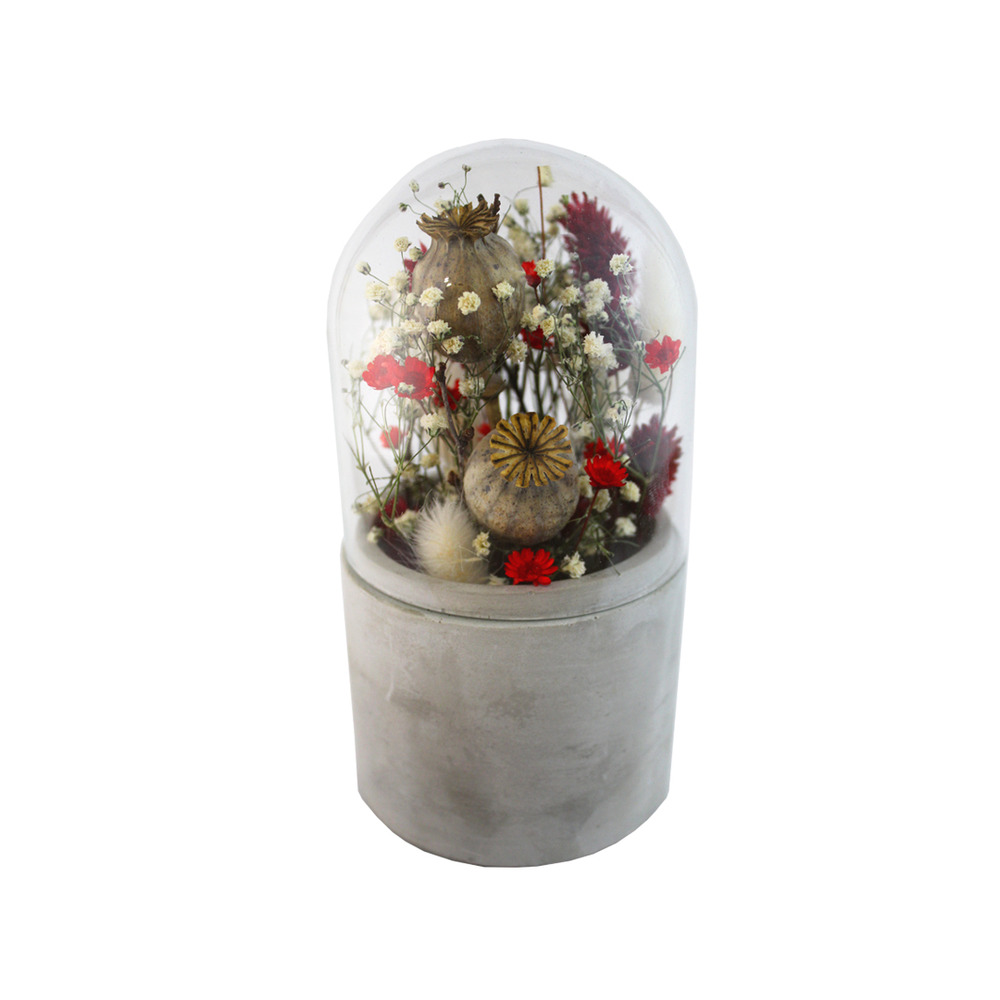Cloche de fleurs séchées rouge