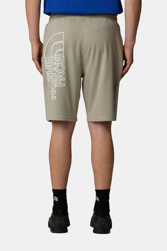 The North Face The North Face M Graphic Short Light