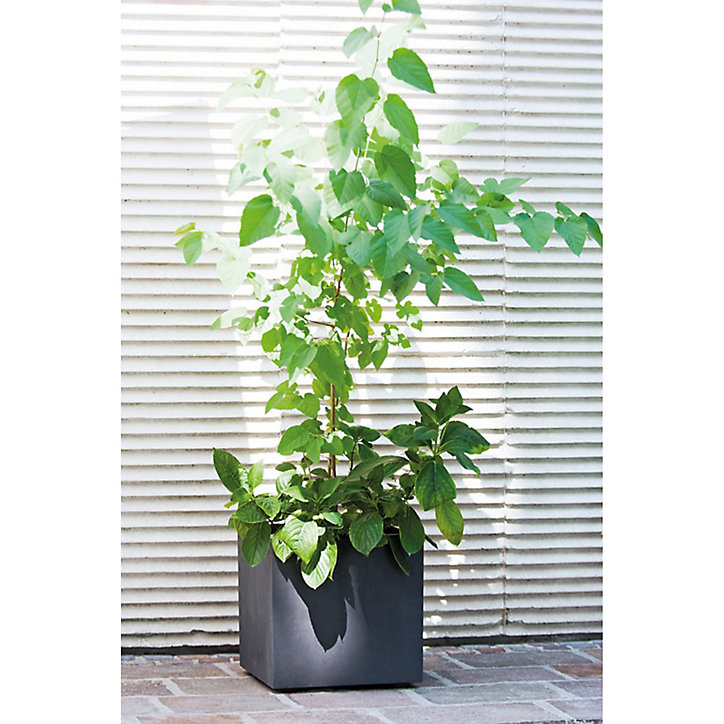 Jardinière cube Millennium Deroma anthracite 39 cm