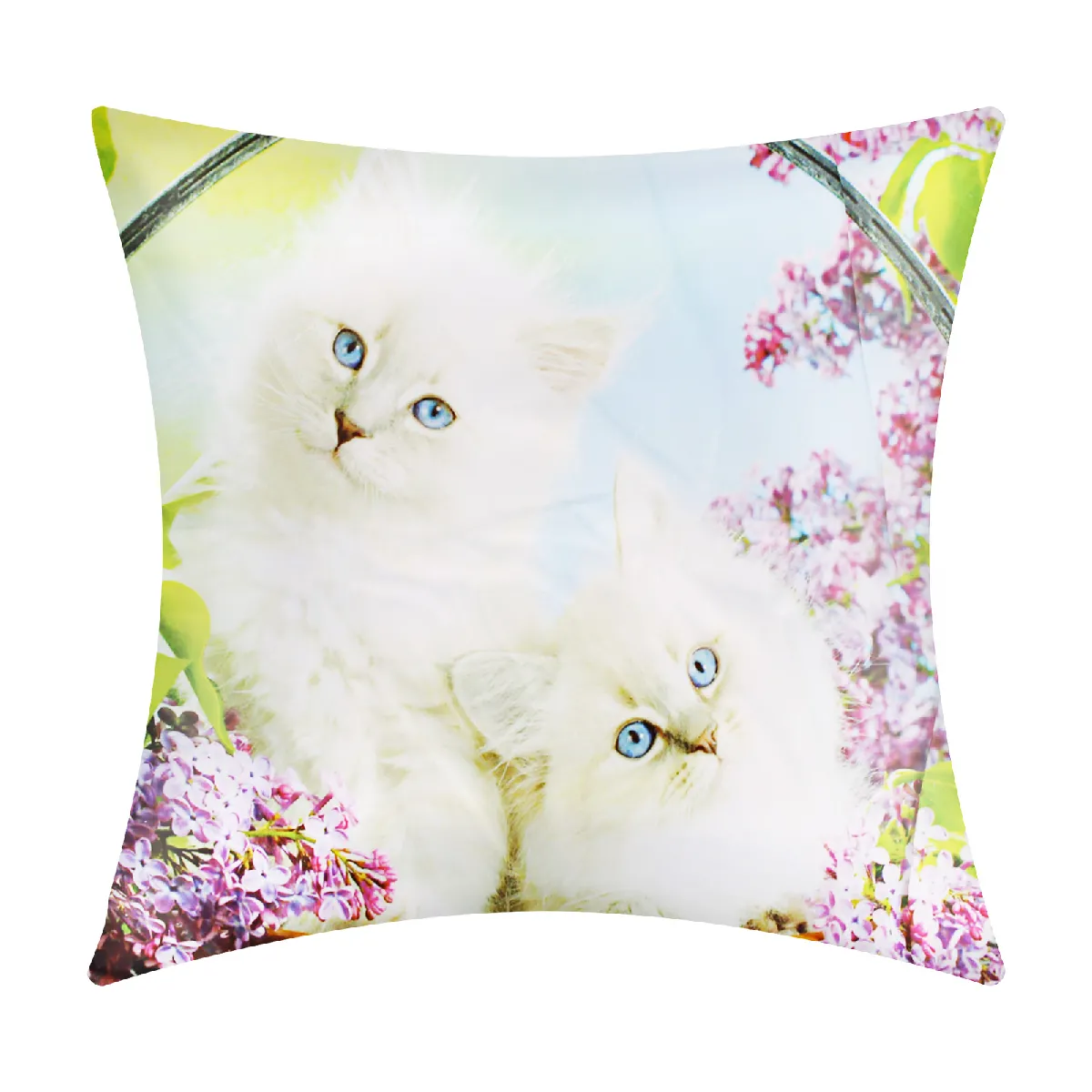 Avizar Housses Motif Chat Blanc
