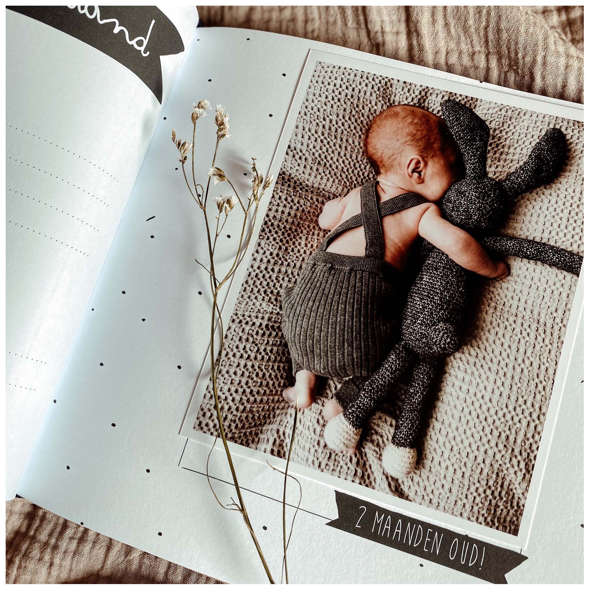 Kidooz invulboek Baby - eerste jaar - Linnen  - invulboeken - Prénatal