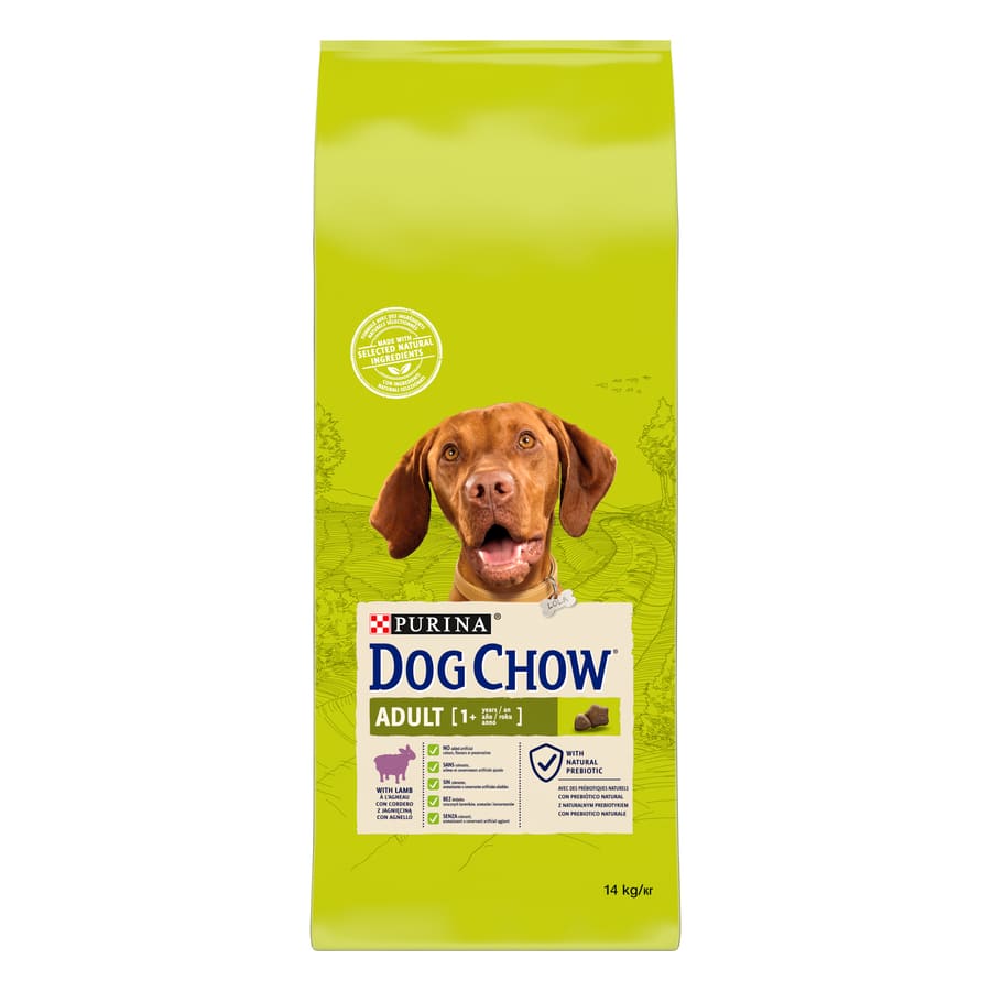 Ração para cães adultos Dog Chow com cordeiro