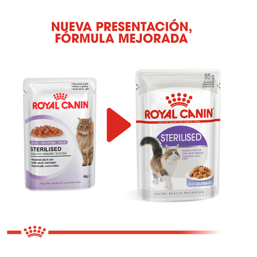 Sachês de geleia esterilizada Royal Canin para gatos