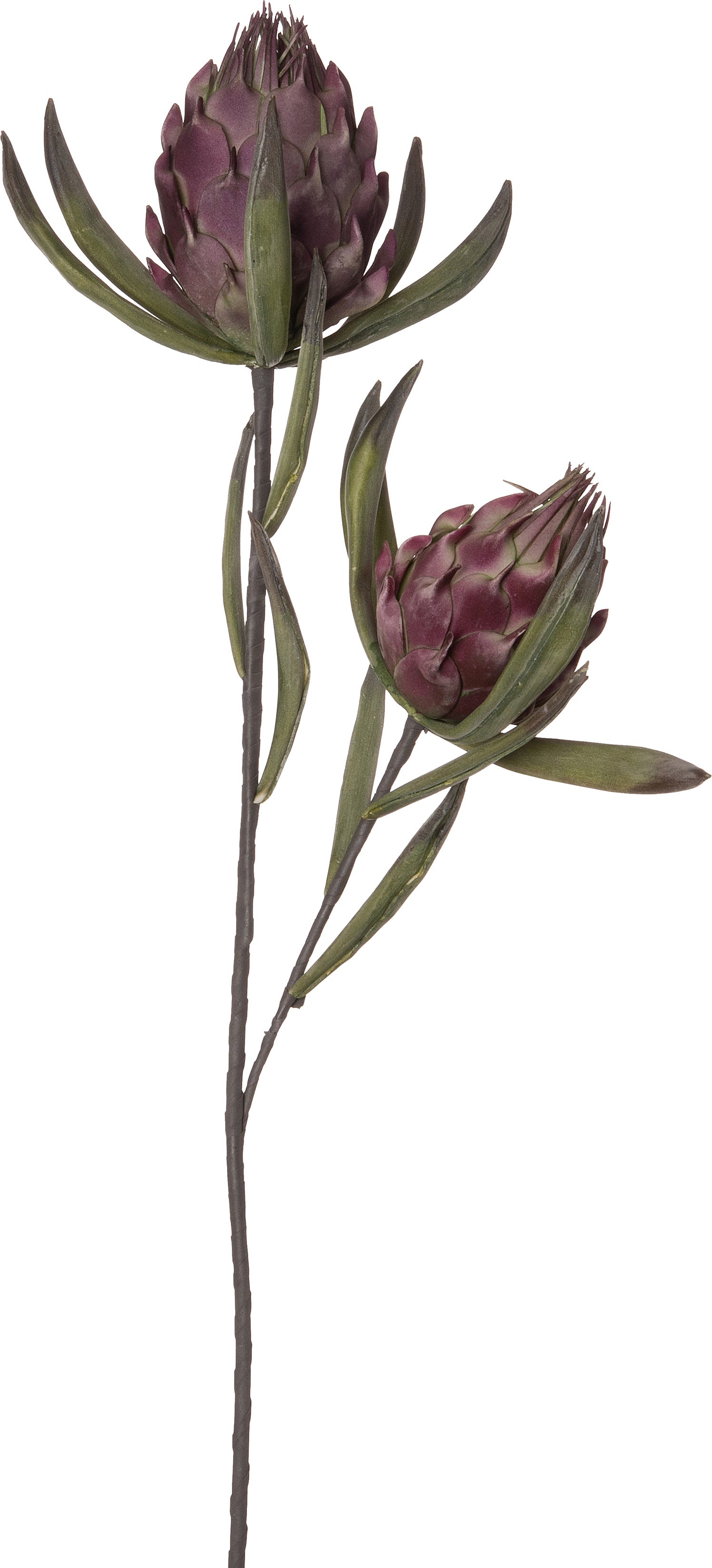 Intratuin kunstbloem bloemknop 92 cm